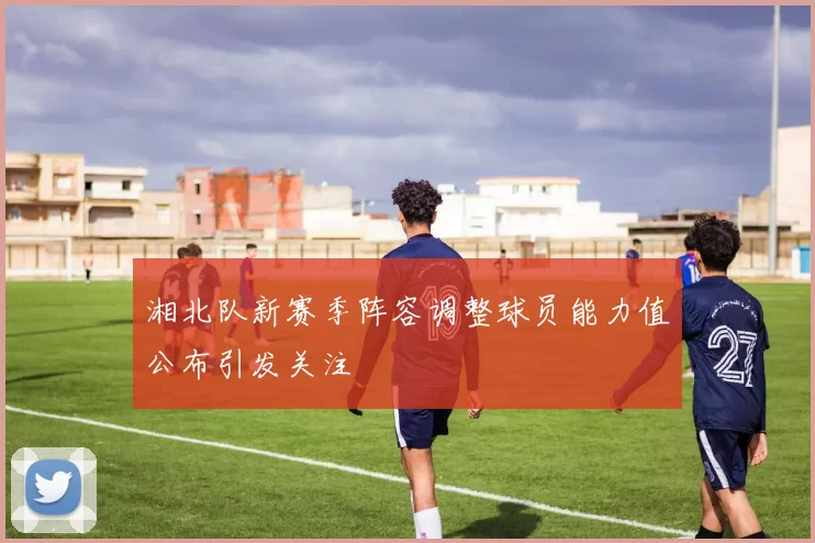 湘北队新赛季阵容调整球员能力值公布引发关注
