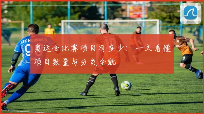 奥运会比赛项目有多少:一文看懂项目数量与分类全貌