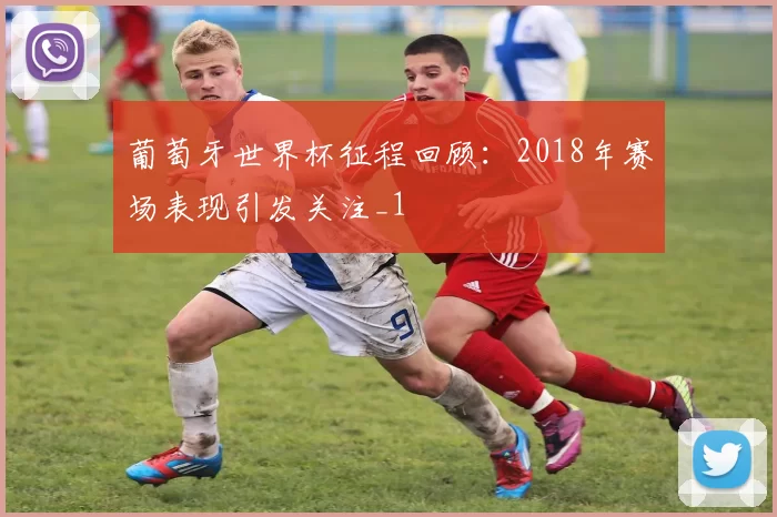 葡萄牙世界杯征程回顾:2018年赛场表现引发关注_1