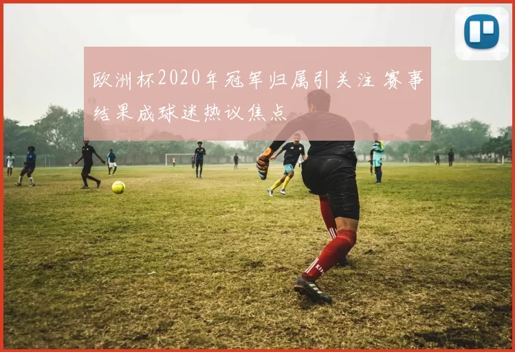 欧洲杯2020年冠军归属引关注 赛事结果成球迷热议焦点