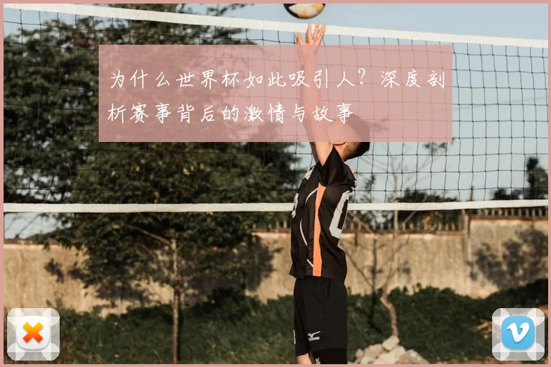 为什么世界杯如此吸引人?深度剖析赛事背后的激情与故事