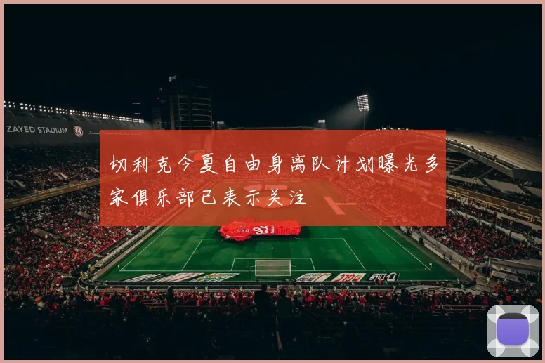 切利克今夏自由身离队计划曝光多家俱乐部已表示关注