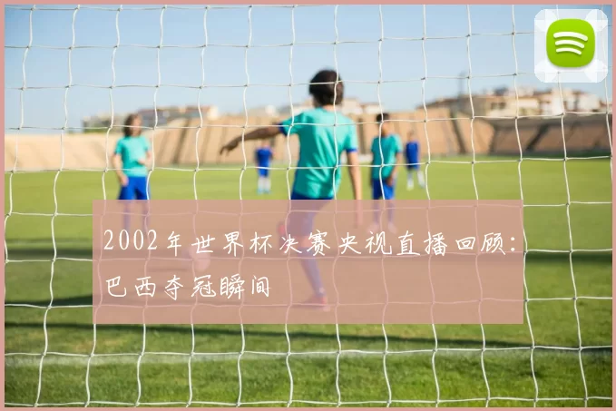 2002年世界杯决赛央视直播回顾:巴西夺冠瞬间