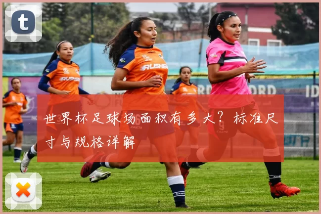 世界杯足球场面积有多大?标准尺寸与规格详解