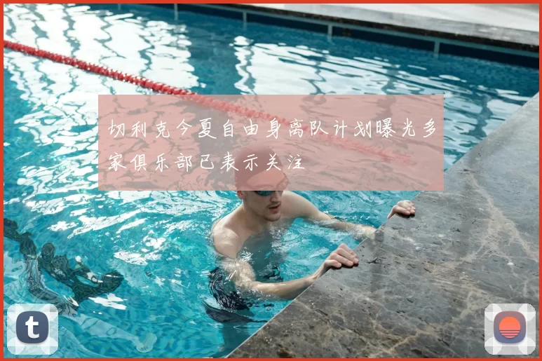 切利克今夏自由身离队计划曝光多家俱乐部已表示关注