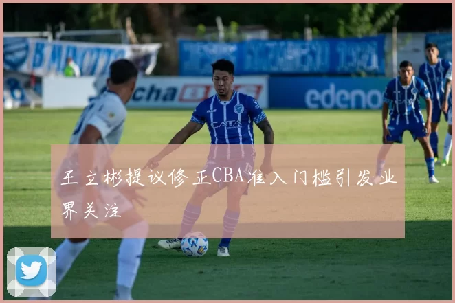 王立彬提议修正CBA准入门槛引发业界关注