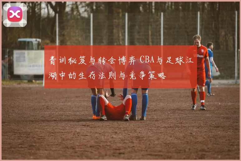 青训秘笈与转会博弈 CBA与足球江湖中的生存法则与竞争策略