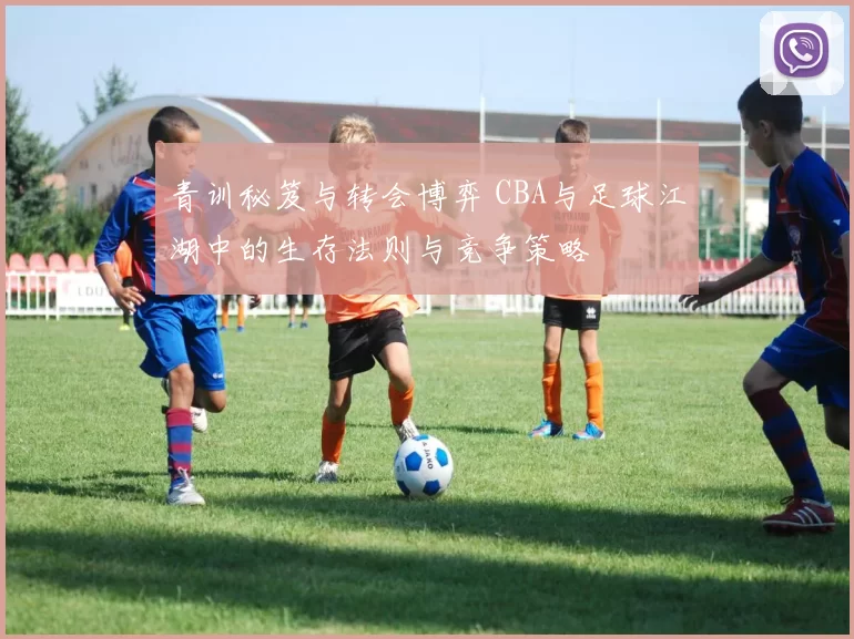 青训秘笈与转会博弈 CBA与足球江湖中的生存法则与竞争策略