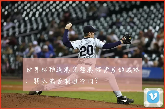 世界杯预选赛完整赛程背后的战略：弱队能否制造冷门？