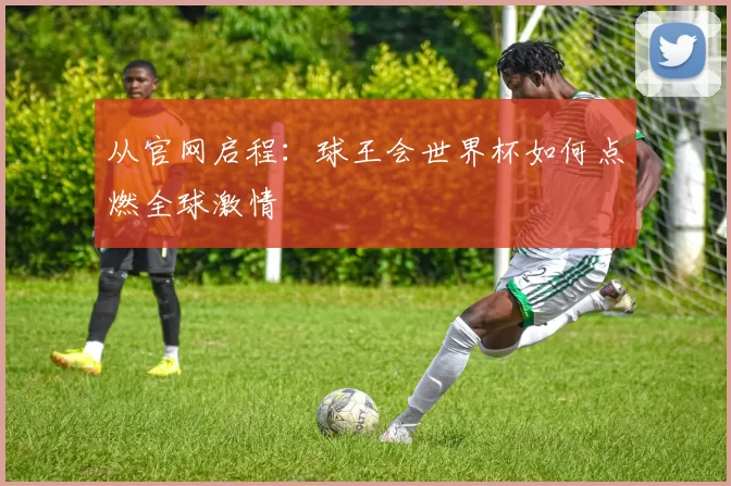 从官网启程：球王会世界杯如何点燃全球激情