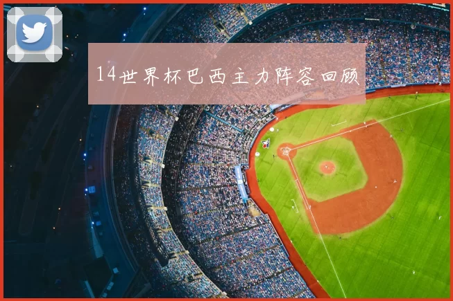 14世界杯巴西主力阵容回顾