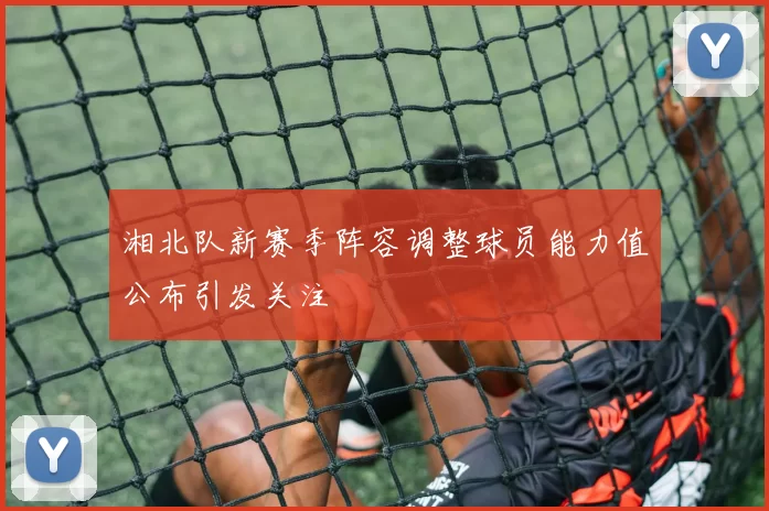 湘北队新赛季阵容调整球员能力值公布引发关注